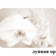 БОСТОН - 3 Стол раздвижной 1100/1420 опоры Брифинг в Кунгуре - kungur.mebel24.online | фото 26