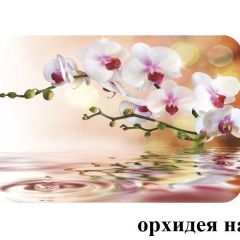 БОСТОН - 3 Стол раздвижной 1100/1420 опоры Брифинг в Кунгуре - kungur.mebel24.online | фото 65