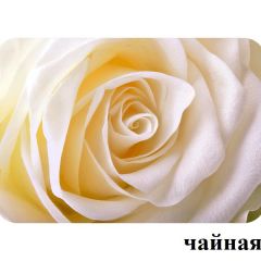 БОСТОН - 3 Стол раздвижной 1100/1420 опоры Триумф в Кунгуре - kungur.mebel24.online | фото 47