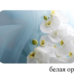 БОСТОН - 3 Стол раздвижной 1100/1420 опоры Триумф в Кунгуре - kungur.mebel24.online | фото 8
