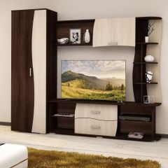 Гостиная ГАРМОНИЯ-3 (ЦРК.ГРМ.03) в Кунгуре - kungur.mebel24.online | фото 3