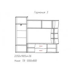 Гостиная ГАРМОНИЯ-3 (ЦРК.ГРМ.03) в Кунгуре - kungur.mebel24.online | фото 2