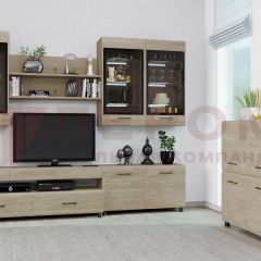 Гостиная Камелия Композиция 8 (Гикори Джексон светлый) в Кунгуре - kungur.mebel24.online | фото 3