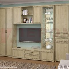 Гостиная Карина Композиция 21 (Гикори Джексон светлый) в Кунгуре - kungur.mebel24.online | фото 6