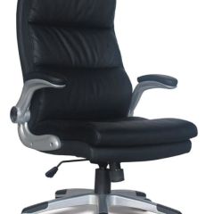 Кресло офисное BRABIX "Fregat EX-510" (рециклированная кожа, черное) 530863 в Кунгуре - kungur.mebel24.online | фото