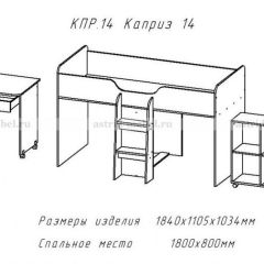 КАПРИЗ-14 Кровать 800 двухъярусная без рисунка в Кунгуре - kungur.mebel24.online | фото 2