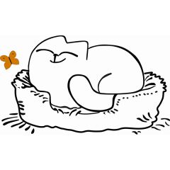 Кровать двухуровневая Кот № 900.1 ЛЕВАЯ (туя светлая/белый) в Кунгуре - kungur.mebel24.online | фото 2