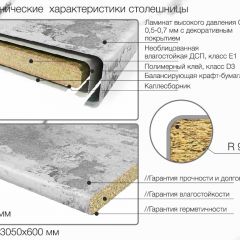 Кухонный фартук со столешницей (А-03) в едином стиле (3050 мм) в Кунгуре - kungur.mebel24.online | фото 6