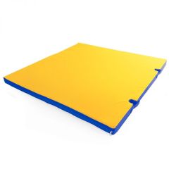Мат гимнастический 1х1х0,05м с вырезом под стойки цв. синий-желтый в Кунгуре - kungur.mebel24.online | фото