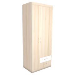 НИКА Н10 Шкаф для одежды в Кунгуре - kungur.mebel24.online | фото