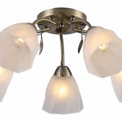 Потолочная люстра Rivoli Olivia Б0052693 в Кунгуре - kungur.mebel24.online | фото