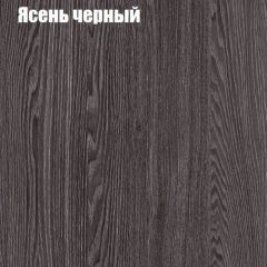 Прихожая ДИАНА-4 сек №10 (Ясень анкор/Дуб эльза) в Кунгуре - kungur.mebel24.online | фото 3