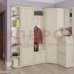 Прихожая Карина композиция 5 (Ясень Асахи) в Кунгуре - kungur.mebel24.online | фото