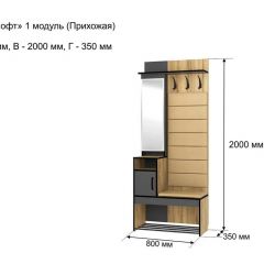 ОЛЬГА-ЛОФТ 1 Прихожая в Кунгуре - kungur.mebel24.online | фото 4