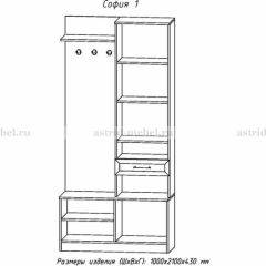 Прихожая София 1 в Кунгуре - kungur.mebel24.online | фото 3
