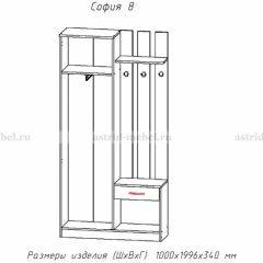 Прихожая София 8 в Кунгуре - kungur.mebel24.online | фото 2