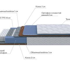 PROxSON Матрас Active Duo M/F (Ткань Трикотаж Эко) 120x190 в Кунгуре - kungur.mebel24.online | фото 6