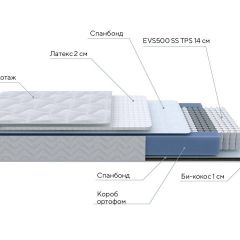 PROxSON Матрас Active Duo S/F (Ткань Трикотаж Эко) 120x190 в Кунгуре - kungur.mebel24.online | фото 7