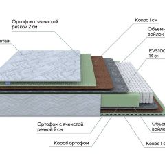 PROxSON Матрас Green M (Tricotage Dream) 120x210 в Кунгуре - kungur.mebel24.online | фото 7