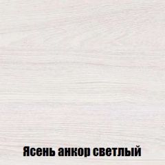 Шкаф 2-х створчатый МСП-1 (Ясень Анкор светлый) в Кунгуре - kungur.mebel24.online | фото 4