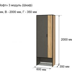 ОЛЬГА-ЛОФТ 3 Шкаф 2-х створчатый в Кунгуре - kungur.mebel24.online | фото 4