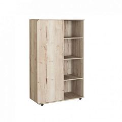 Шкаф комбинированный Дельта Лофт-13 Дуб Ирладндский в Кунгуре - kungur.mebel24.online | фото