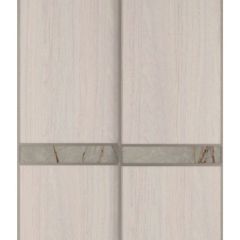 Шкаф-купе 1300 серии SILVER S1+S1+B2+PL2 (2 ящика+1 штанга+1 полка) профиль «Серебро» в Кунгуре - kungur.mebel24.online | фото 10