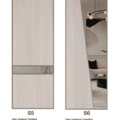 Шкаф-купе 1300 серии SILVER S1+S1+B2+PL2 (2 ящика+1 штанга+1 полка) профиль «Серебро» в Кунгуре - kungur.mebel24.online | фото 11