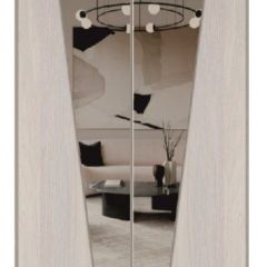 Шкаф-купе 1300 серии SILVER S1+S1+B2+PL2 (2 ящика+1 штанга+1 полка) профиль «Серебро» в Кунгуре - kungur.mebel24.online | фото 12