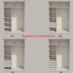 Шкаф-купе 1300 серии SILVER S1+S1+B2+PL2 (2 ящика+1 штанга+1 полка) профиль «Серебро» в Кунгуре - kungur.mebel24.online | фото 5