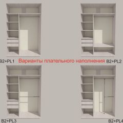 Шкаф-купе 1300 серии SILVER S1+S1+B2+PL2 (2 ящика+1 штанга+1 полка) профиль «Серебро» в Кунгуре - kungur.mebel24.online | фото 6
