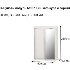 Шкаф-купе 1600 с зеркалом "Мария-Луиза 6.16" в Кунгуре - kungur.mebel24.online | фото 4