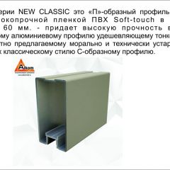 Шкаф-купе 1700 серии NEW CLASSIC K6Z+K6+B2+PL3 (2 ящика+2 штанги) профиль «Капучино» в Кунгуре - kungur.mebel24.online | фото 17