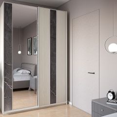 Шкаф-купе 1700 серии SILVER S3+S4+B2+PL4 (2 ящика+F обр.штанга) профиль «Серебро» в Кунгуре - kungur.mebel24.online | фото