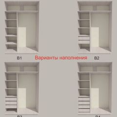 Шкаф-купе 1700 серии SILVER S3+S4+B2+PL4 (2 ящика+F обр.штанга) профиль «Серебро» в Кунгуре - kungur.mebel24.online | фото 5