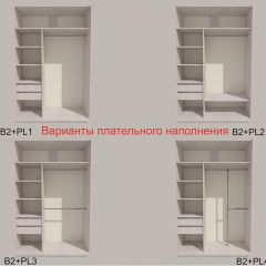 Шкаф-купе 1700 серии SILVER S3+S4+B2+PL4 (2 ящика+F обр.штанга) профиль «Серебро» в Кунгуре - kungur.mebel24.online | фото 6