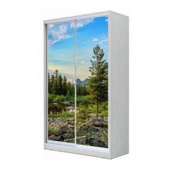 Шкаф-купе ХИТ 23-12-77 (620) в Кунгуре - kungur.mebel24.online | фото
