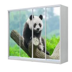 Шкаф-купе ХИТ 23-24/2-7777 (620) в Кунгуре - kungur.mebel24.online | фото