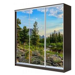 Шкаф-купе ХИТ 23-4-18-777 (420) в Кунгуре - kungur.mebel24.online | фото 1