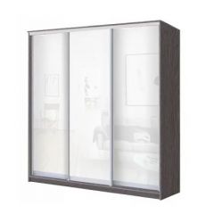 Шкаф-купе ХИТ 24-18/2-888 (620) в Кунгуре - kungur.mebel24.online | фото 5