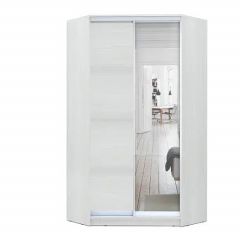 Шкаф-купе ХИТ-У-L-24-64-15 в Кунгуре - kungur.mebel24.online | фото 1