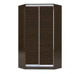 Шкаф-купе ХИТ-У-R-22-64-11 в Кунгуре - kungur.mebel24.online | фото