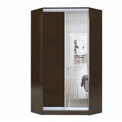 Шкаф-купе ХИТ-У-R-22-64-15 в Кунгуре - kungur.mebel24.online | фото