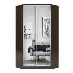 Шкаф-купе ХИТ-У-R-22-64-55 в Кунгуре - kungur.mebel24.online | фото
