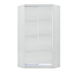 Шкаф-купе ХИТ-У-R-24-64-11 в Кунгуре - kungur.mebel24.online | фото