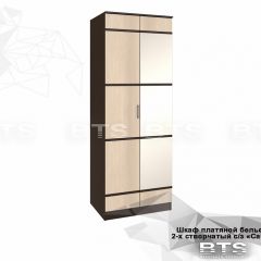 Шкаф 2-х створчатый Сакура + Зеркало (венге/лоредо) в Кунгуре - kungur.mebel24.online | фото 2