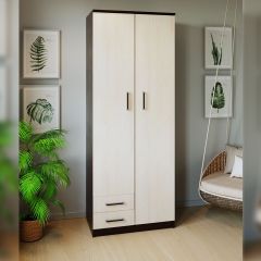 Шкаф распашной ПШ-3.9 в Кунгуре - kungur.mebel24.online | фото 3
