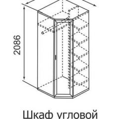 Шкаф угловой для одежды Ника-Люкс 30 с зеркалами в Кунгуре - kungur.mebel24.online | фото 3