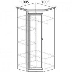 Шкаф угловой №662 "Флоренция" Фасад глухой (угол 1005*1005) Дуб оксфорд в Кунгуре - kungur.mebel24.online | фото 2