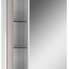 Шкаф-зеркало Uno 60 Дуб серый левый/правый Домино (DU1503HZ) в Кунгуре - kungur.mebel24.online | фото 3